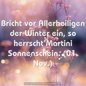 Bricht vor Allerheiligen der Winter ein,
so herrscht Martini Sonnenschein.
(01. Nov.)