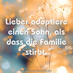 Lieber adoptiere einen Sohn,
als dass die Familie stirbt.
