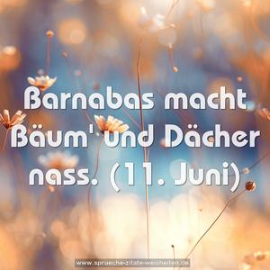 Barnabas macht Bäum' und Dächer nass.
(11. Juni)