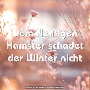 Dem fleißigen Hamster
schadet der Winter nicht